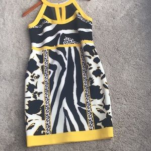 Spring/Summer Garden party dress